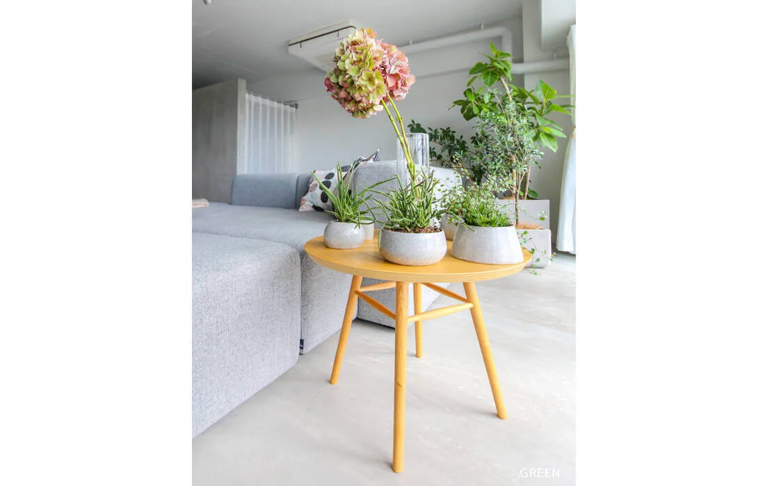 Mortar House 写真 10