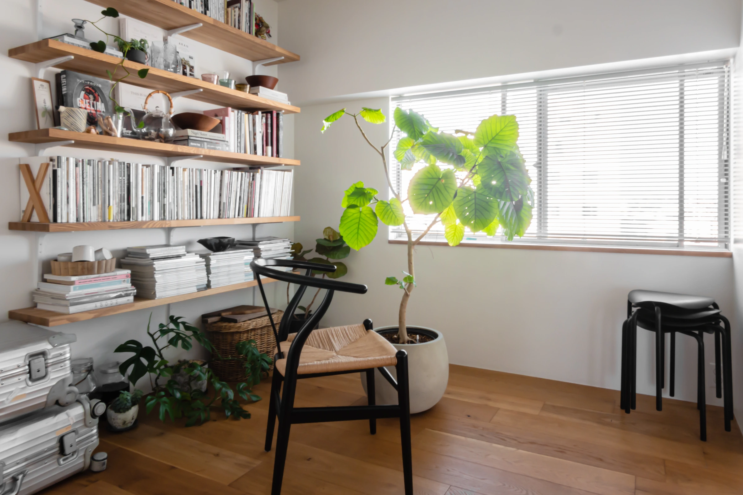 Senzoku House 写真 20
