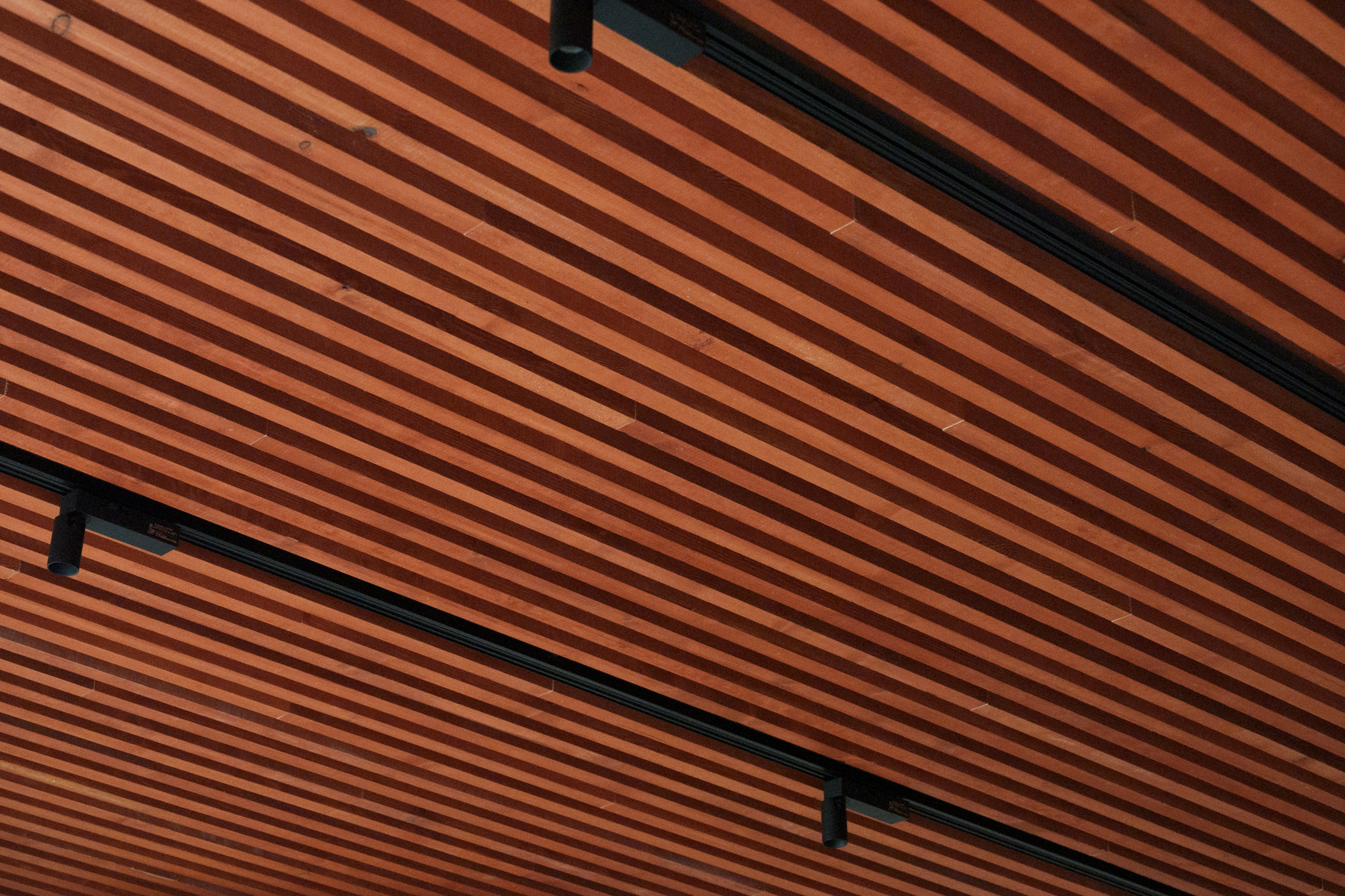 朱稜 / Vermilion Ridge / Kinshicho 写真 13