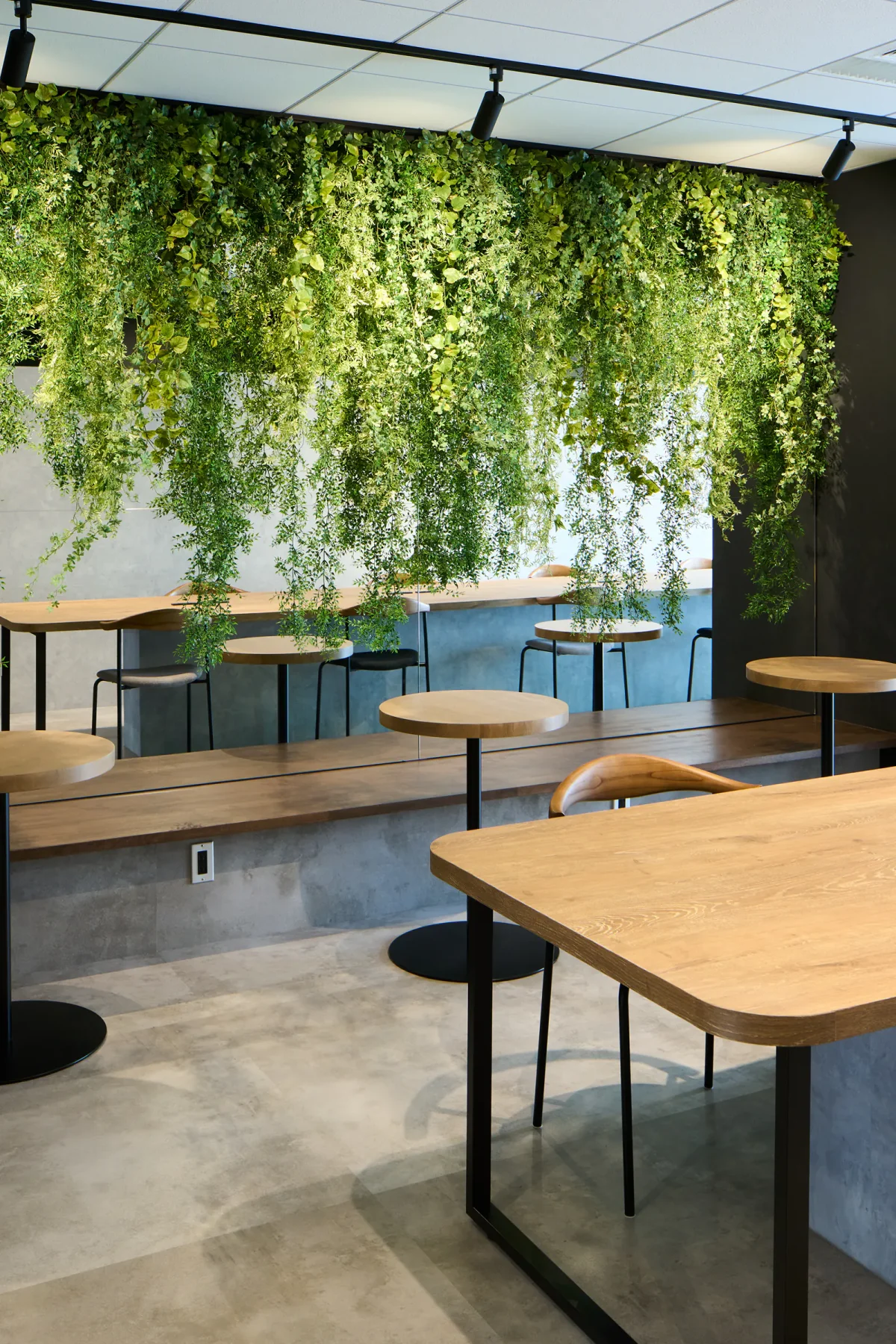 鏡翠/Mirror Green/Jinnan