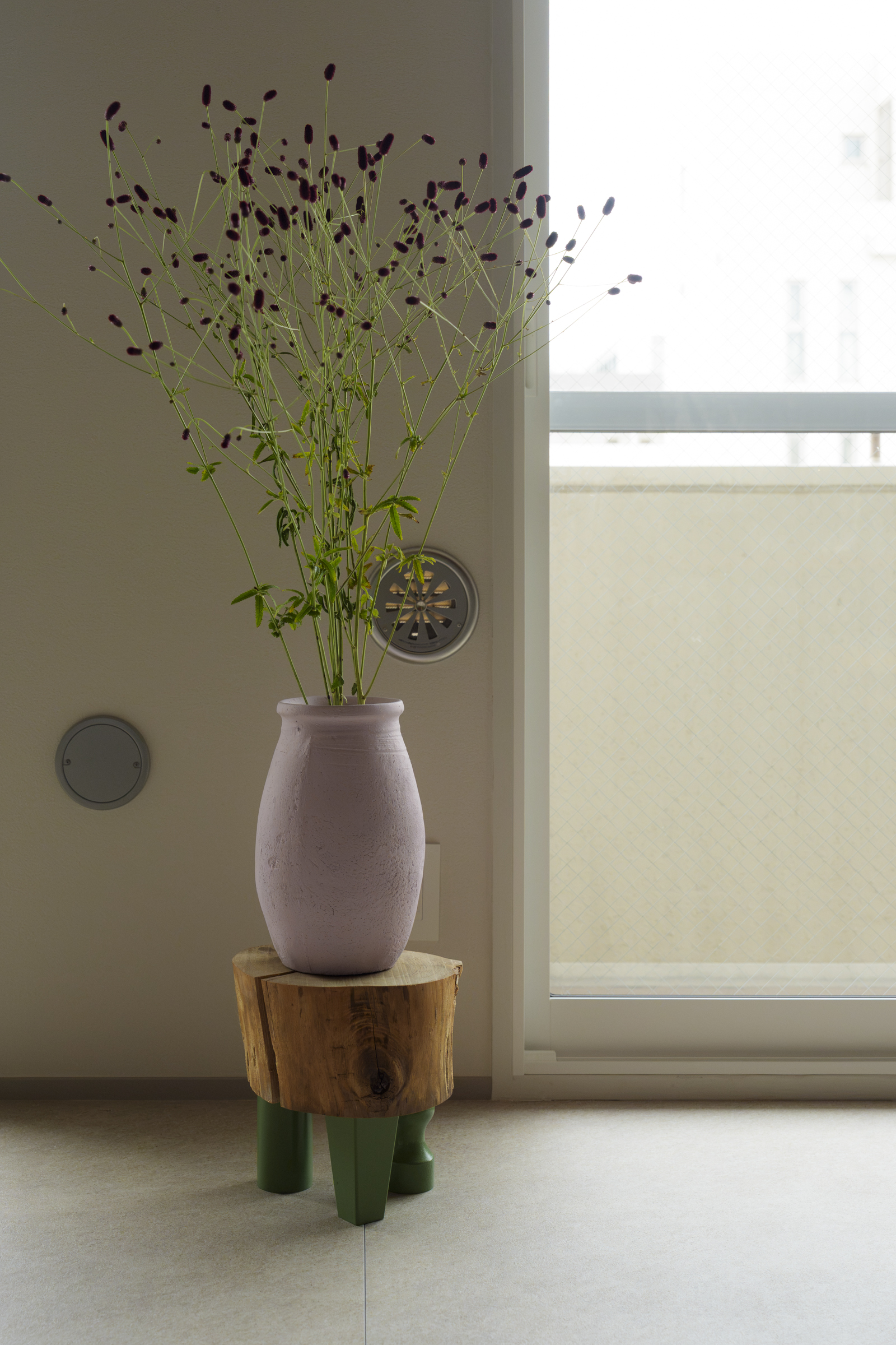 朱稜｜錦糸町：窓辺の植物と朱色の天井